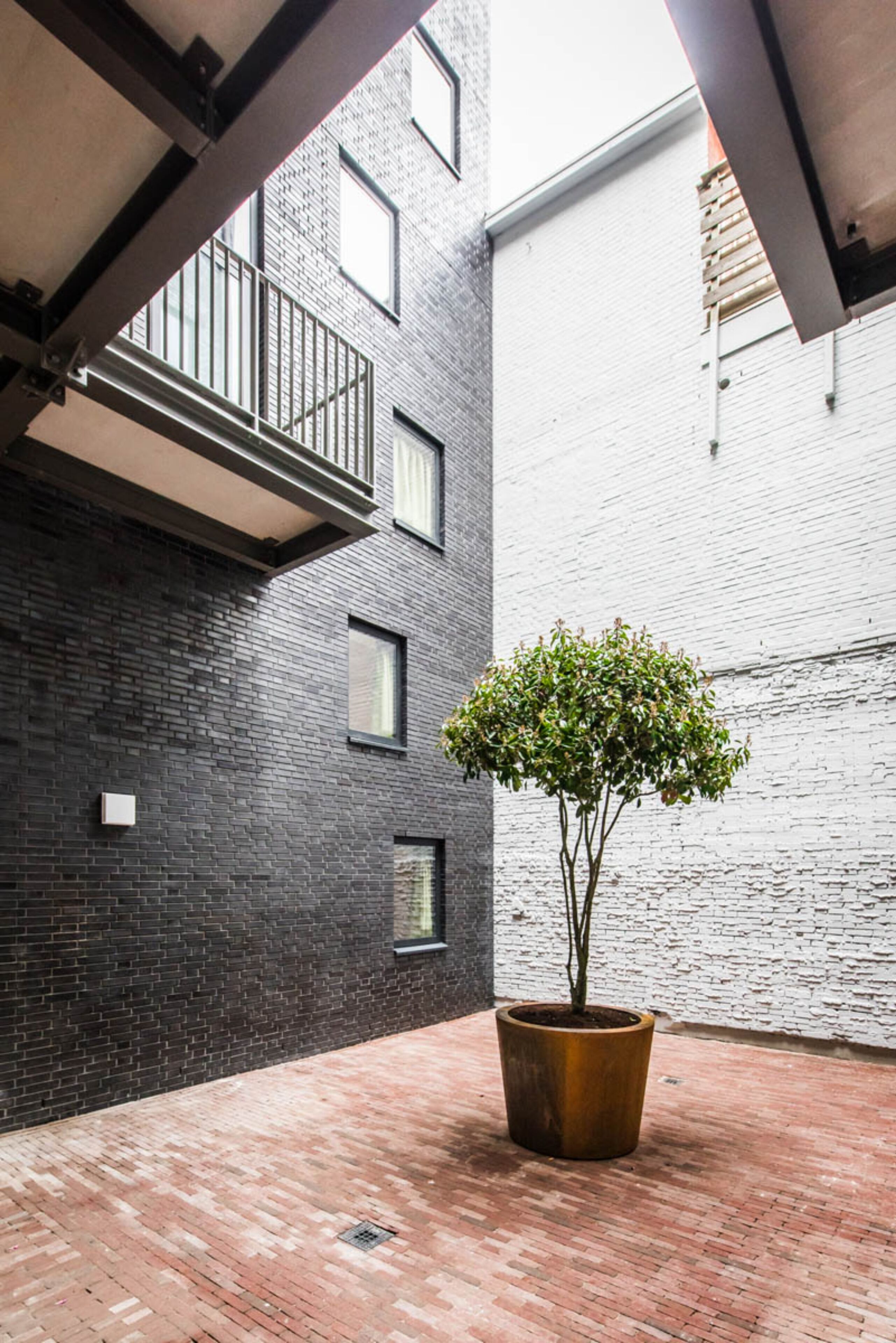 A courtyard with a potted tree, a brick wall, and a metal balcony.