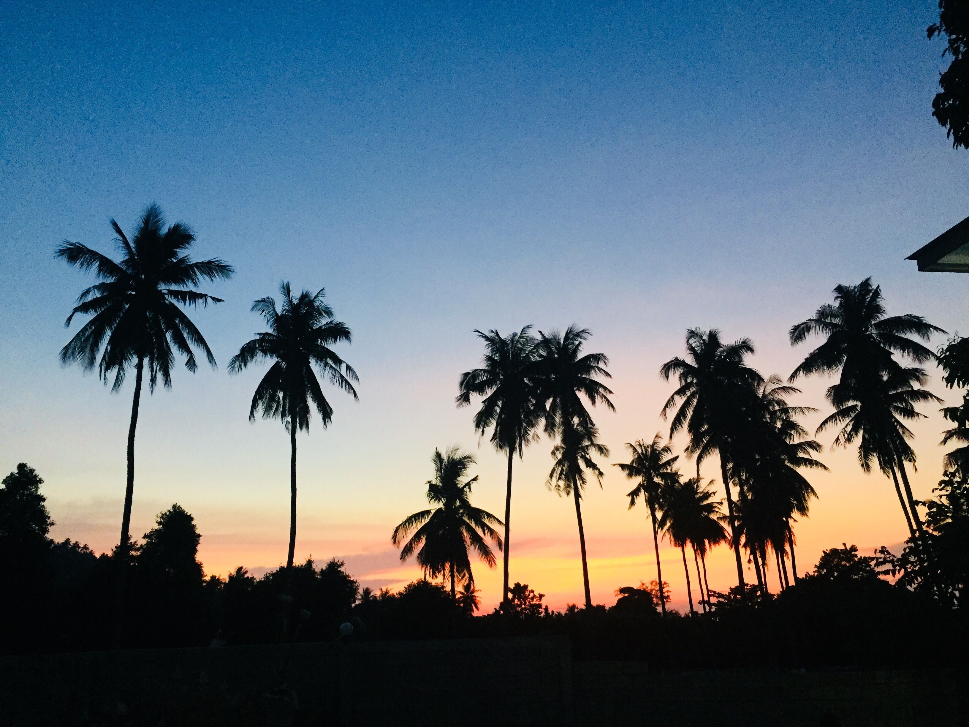 deluxe studio suite, 1 bedroom, non smoking, hill view | view from room