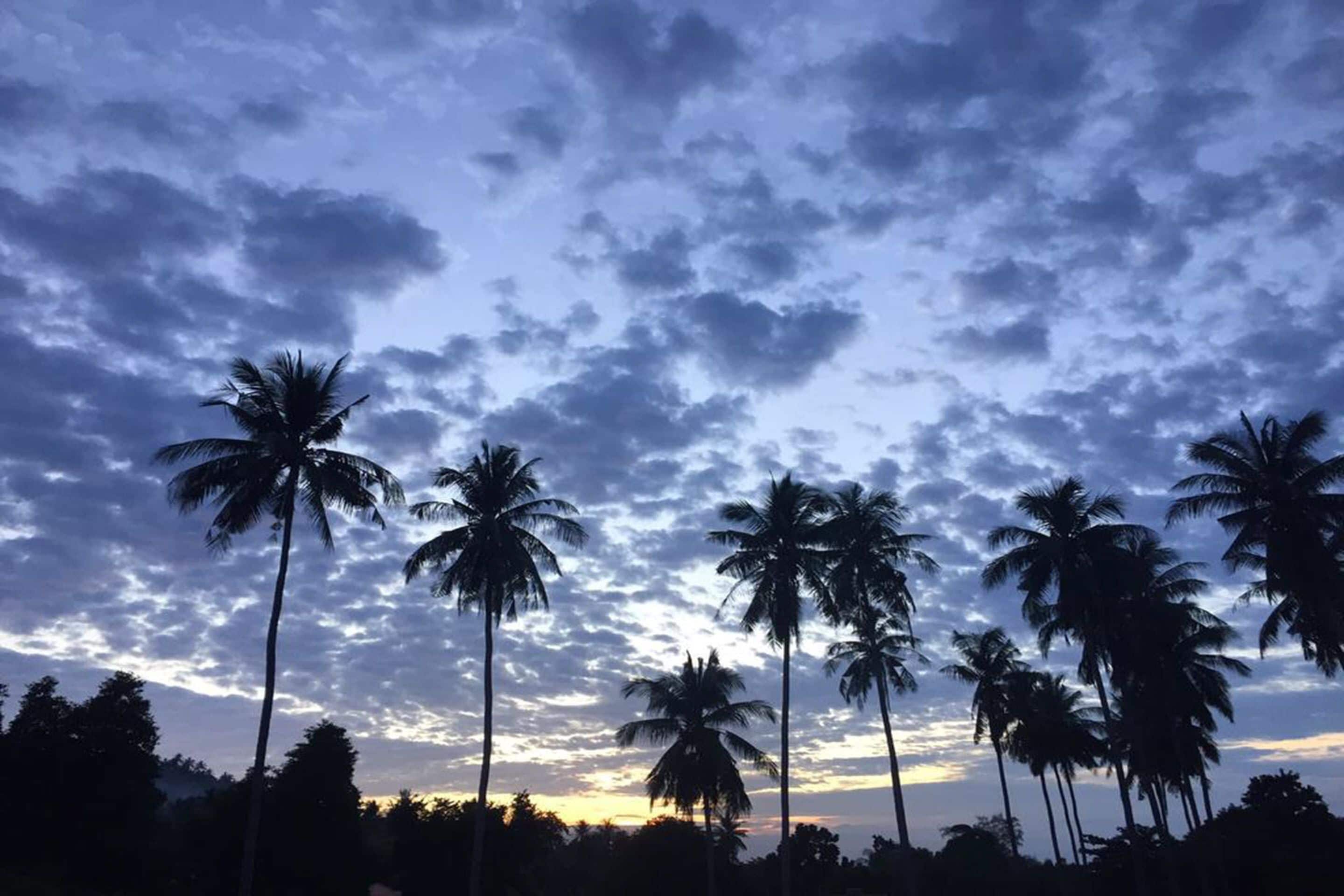 Photo - Field-D House