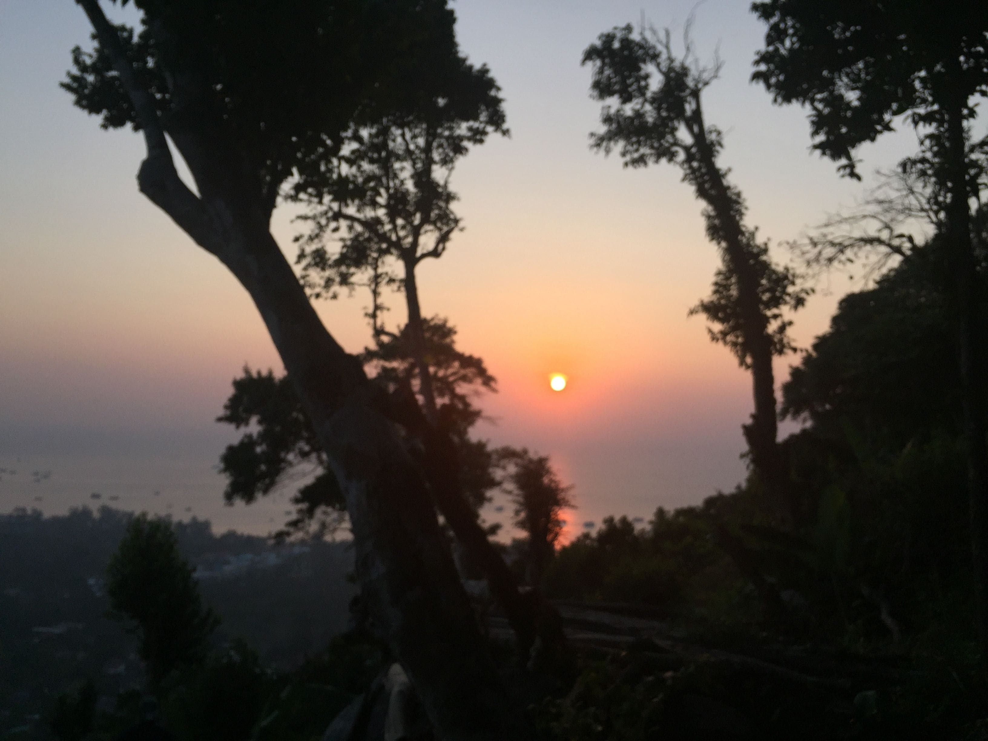 Photo - Field-D House