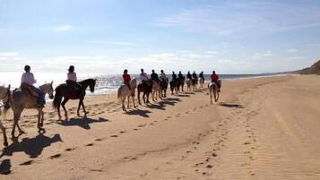 Una playa con una fila de caballos y jinetes.