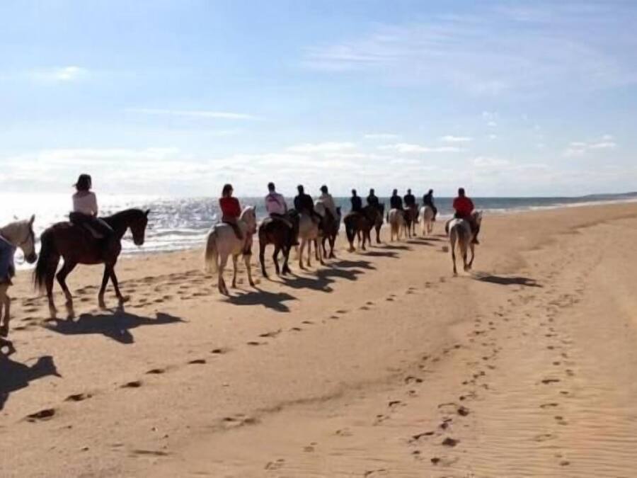 Una playa con una fila de caballos y jinetes.