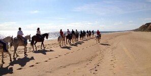 A beach with a row of horses and riders.