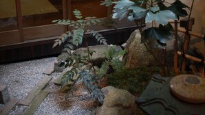 A traditional Japanese garden with a stone lantern, a wooden bridge, and a variety of plants. - Zen Oyado Nishitei (Fukuoka)