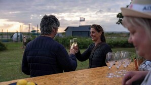 Un grupo de personas brindando con copas de vino en una mesa exterior con superficie de madera.
