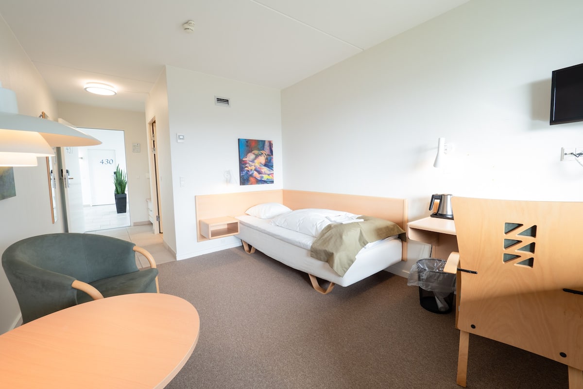 single room (xl) | in-room safe, desk, cots/infant beds, rollaway beds