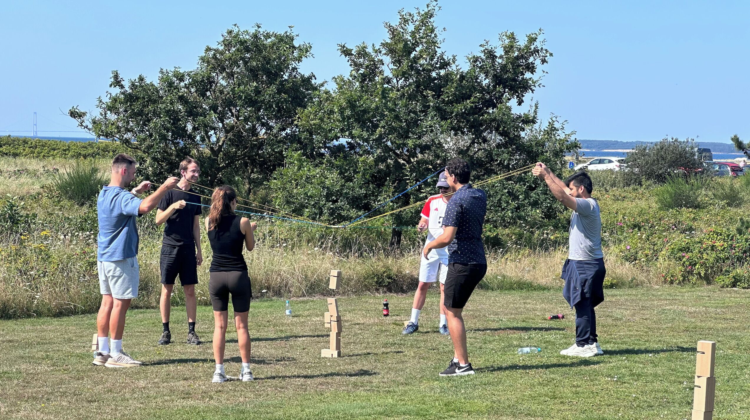 Eine Gruppe Menschen spielt Rangelfangen im Freien, mit Gras, Bäumen und blauem Himmel.