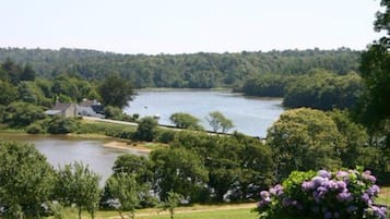 A lakeside view with a house and trees.