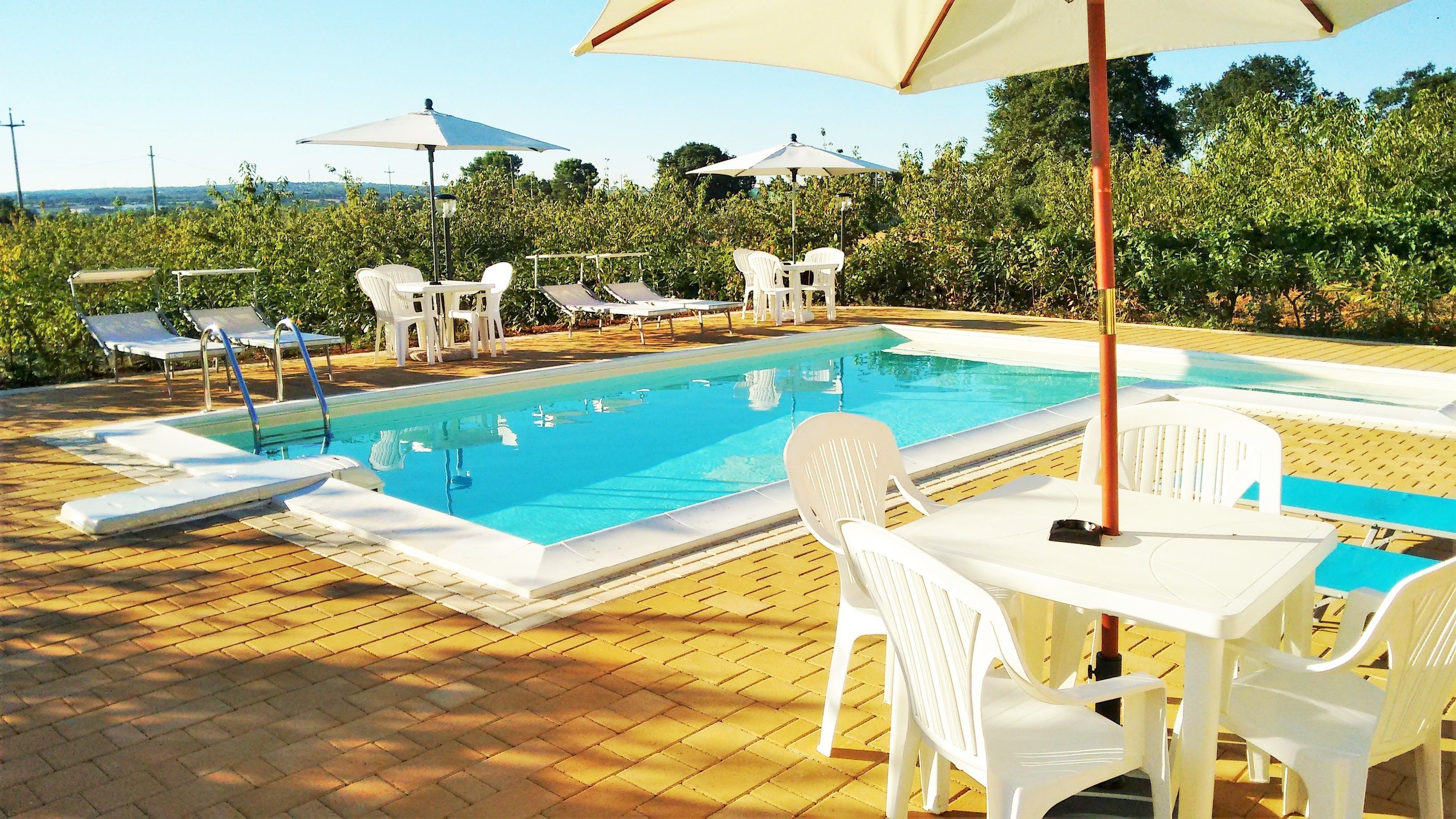Une piscine entourée de verdure, avec des chaises longues et des parasols.