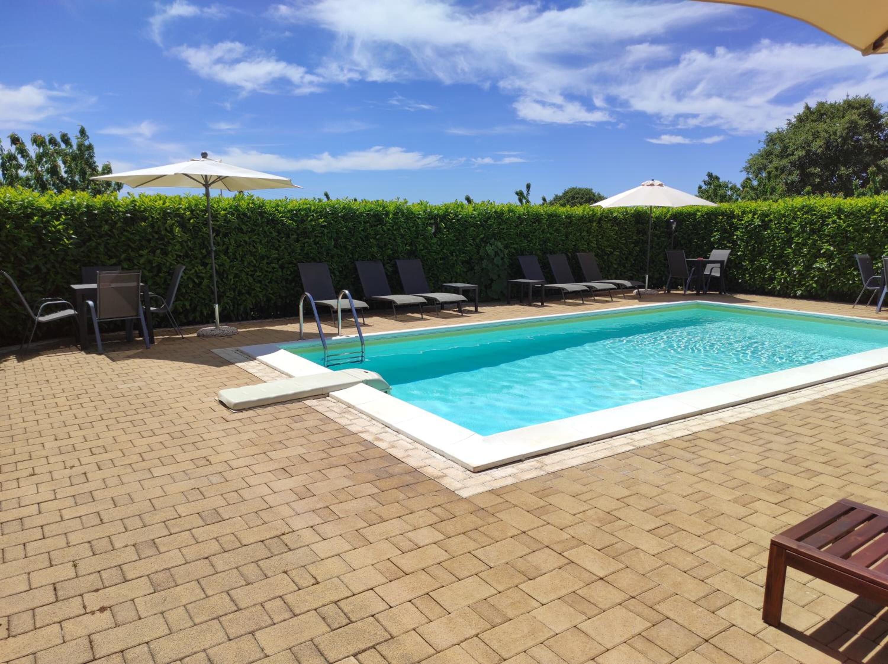 A rectangular swimming pool with a clear blue water surface, surrounded by a brick patio. There are lounge chairs and umbrellas along the poolside, and a hedge in the background.