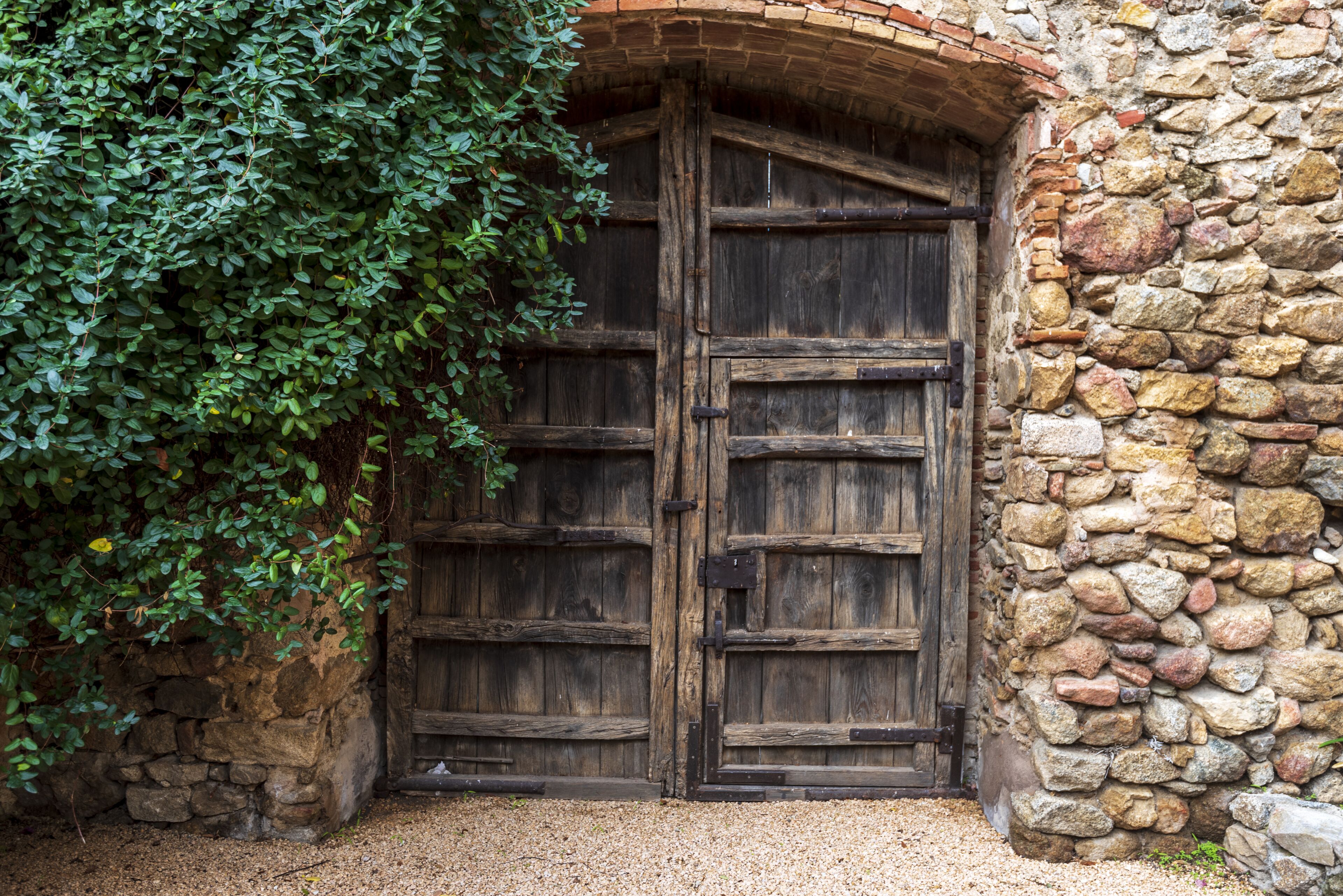 A rustic stone wall with a wooden door.