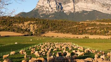 Un paisaje montañoso con un rebaño de ovejas pastando en un campo cercado.