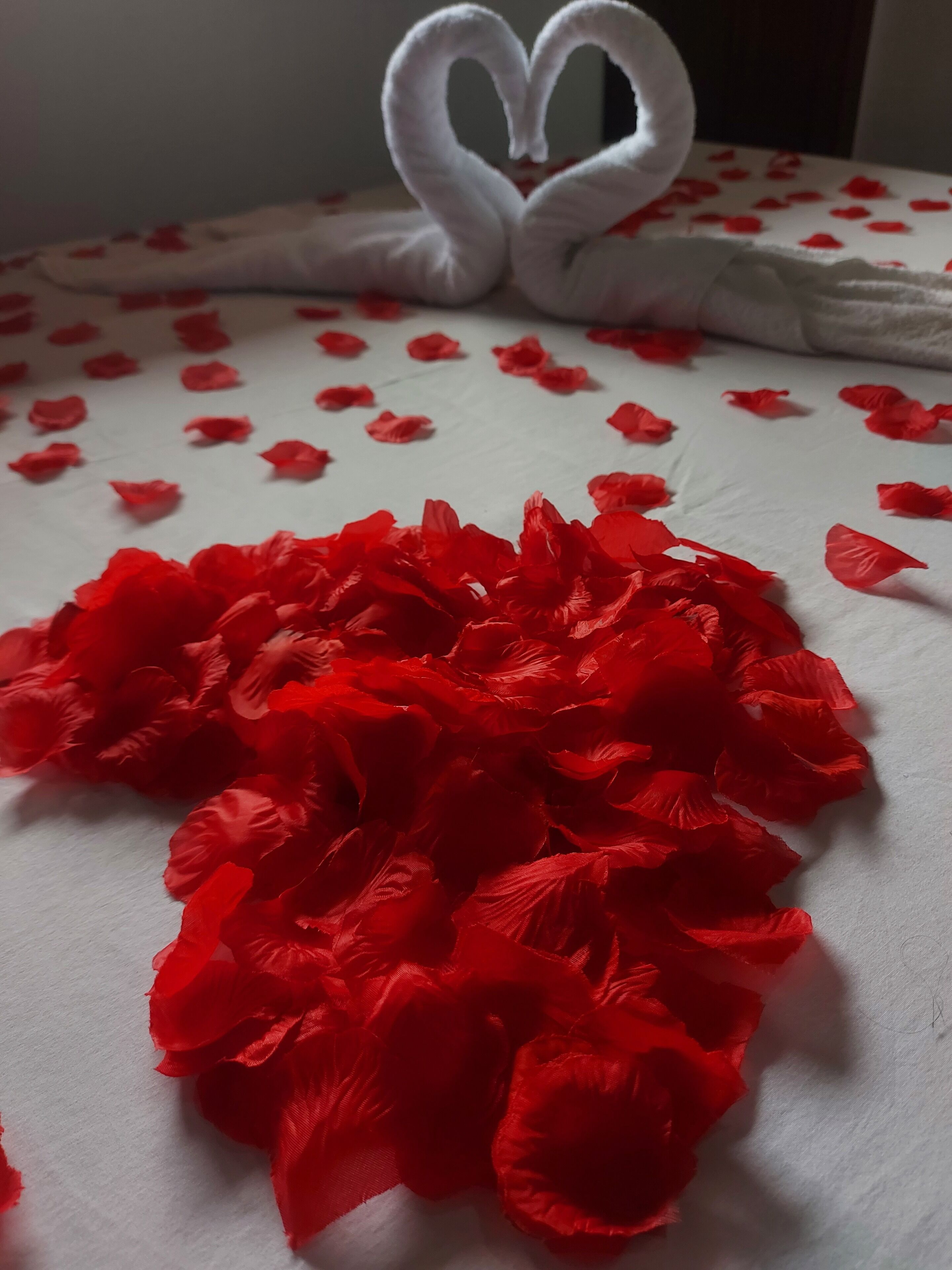 Foto - Pousada Parque Imperial no centro de Paraty