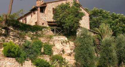 Podere Agrituristico Luchiano