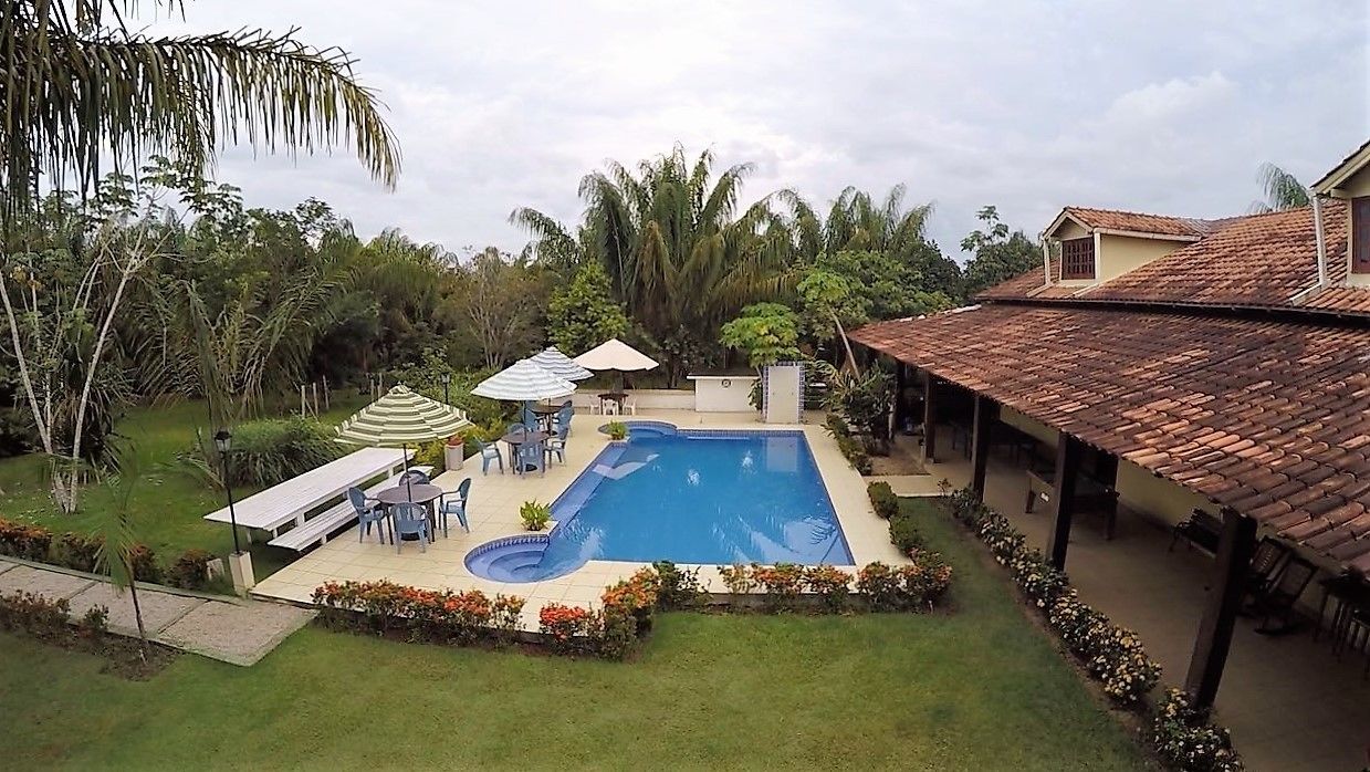 A swimming pool with a patio area, surrounded by a garden and a house with a tiled roof.