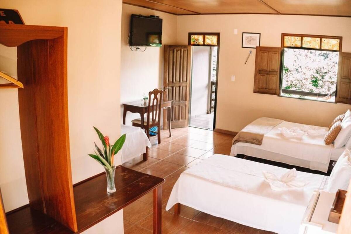 Une chambre d  ’hôtel avec deux lits, une petite table sur laquelle est posé un vase, un téléviseur fixé au mur et une fenêtre donnant sur des arbres en fleurs.