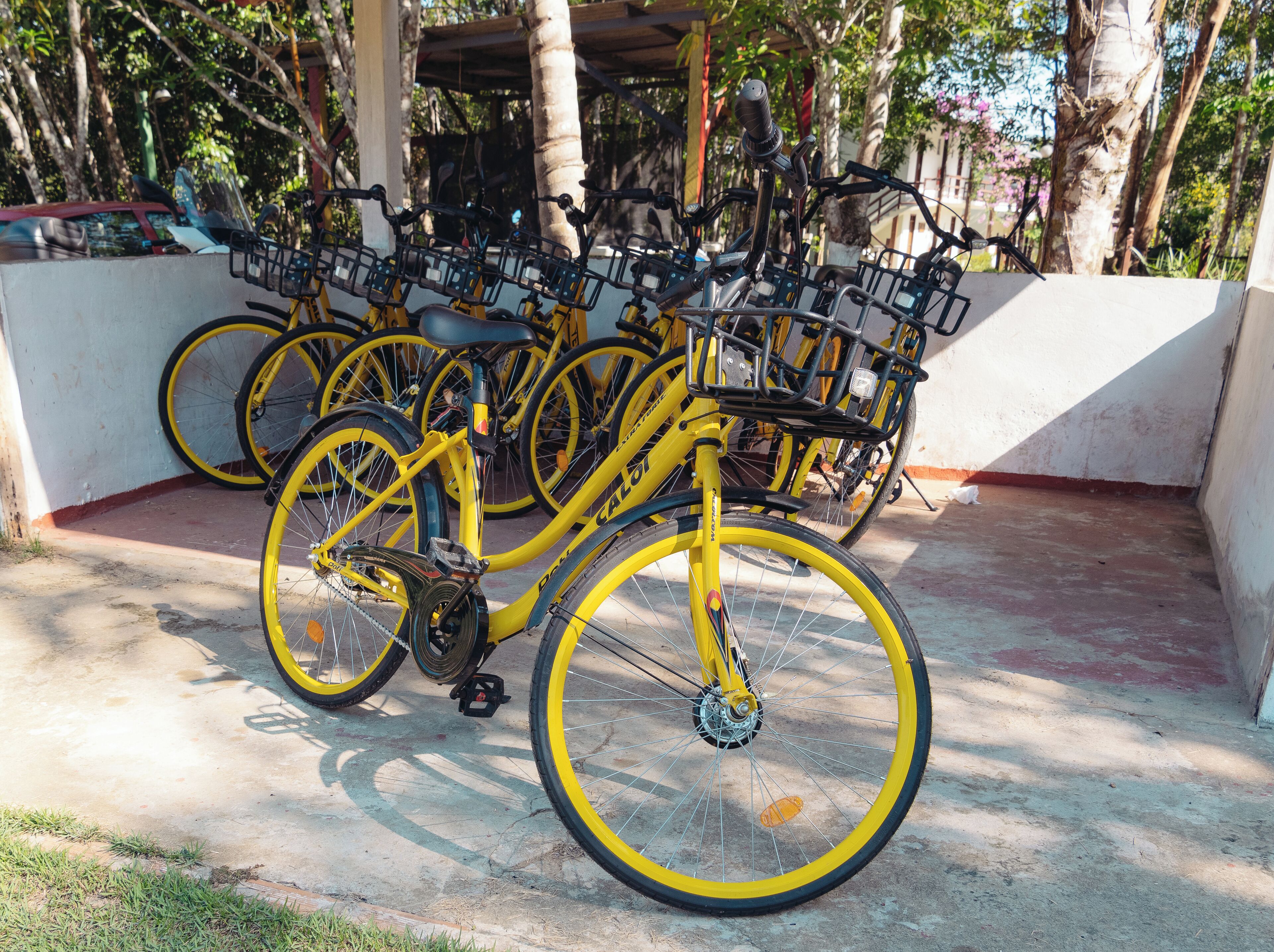 Una hilera de bicicletas amarillas estacionadas en un espacio exterior con piso de concreto y una pared blanca al fondo.