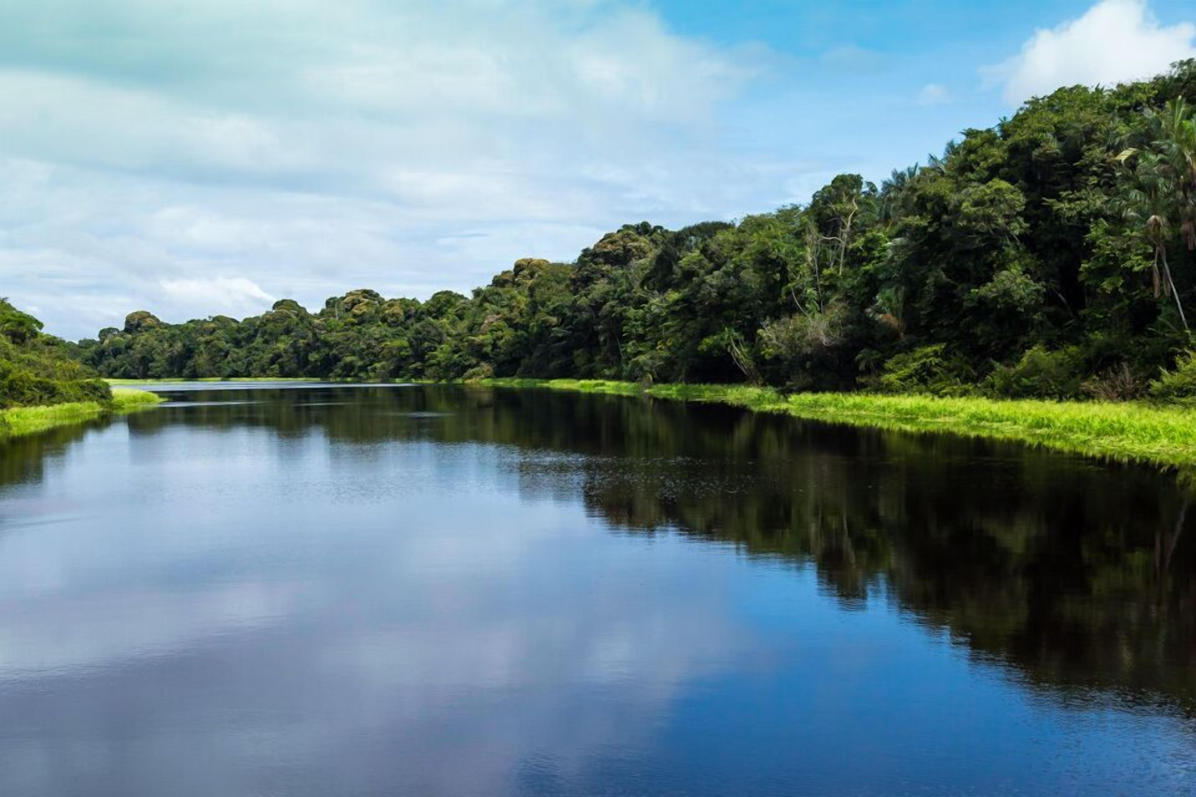 Une rivière paisible, bordée de chaque côté d’une végétation luxuriante.