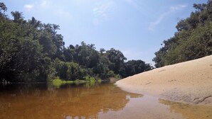 A river with clear water reflecting the surrounding trees and a sandy bank. - Amazônia ParkSuítes (Novo Airão)
