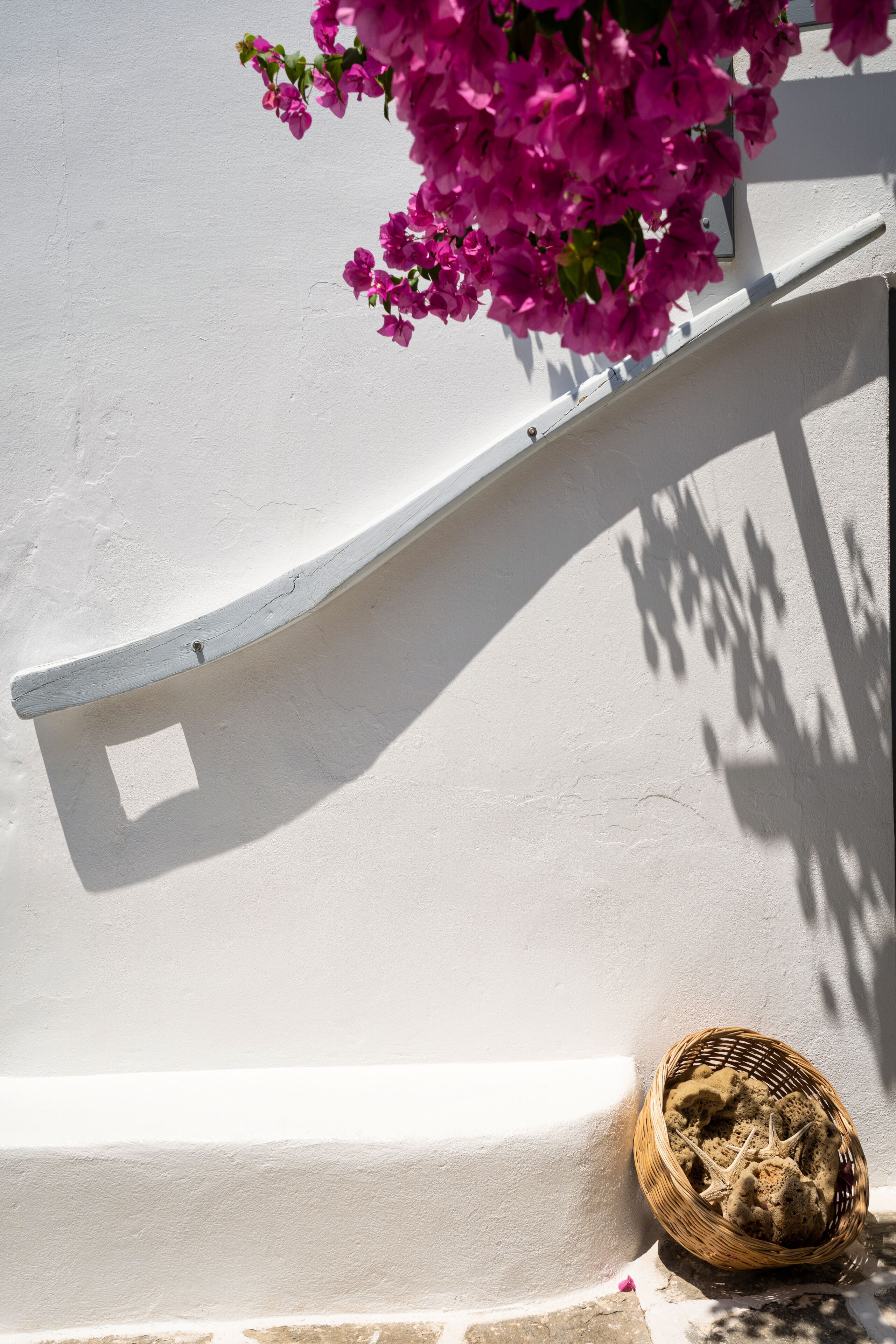 standard double room, garden view | view from room