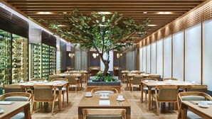 Un restaurante con mesas y sillas de madera, un árbol en el centro y una exhibición de zapatos a la izquierda.