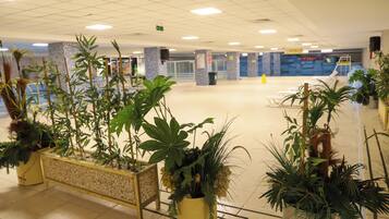 Amplio espacio interior con varias plantas en macetas, un banco y suelo de baldosas.