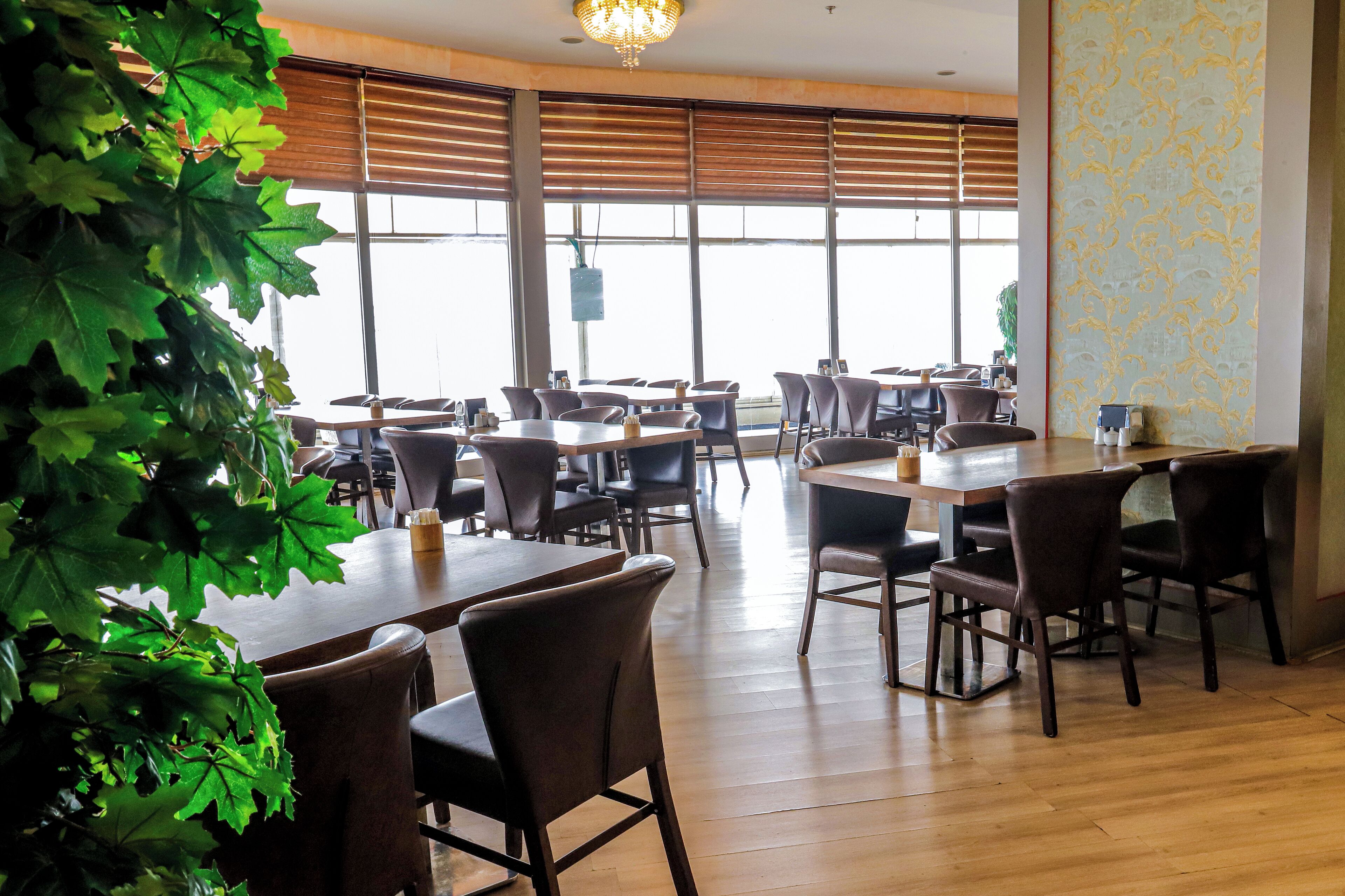 Un restaurante con mesas y sillas de madera, ventanas amplias con persianas y una planta verde en primer plano.