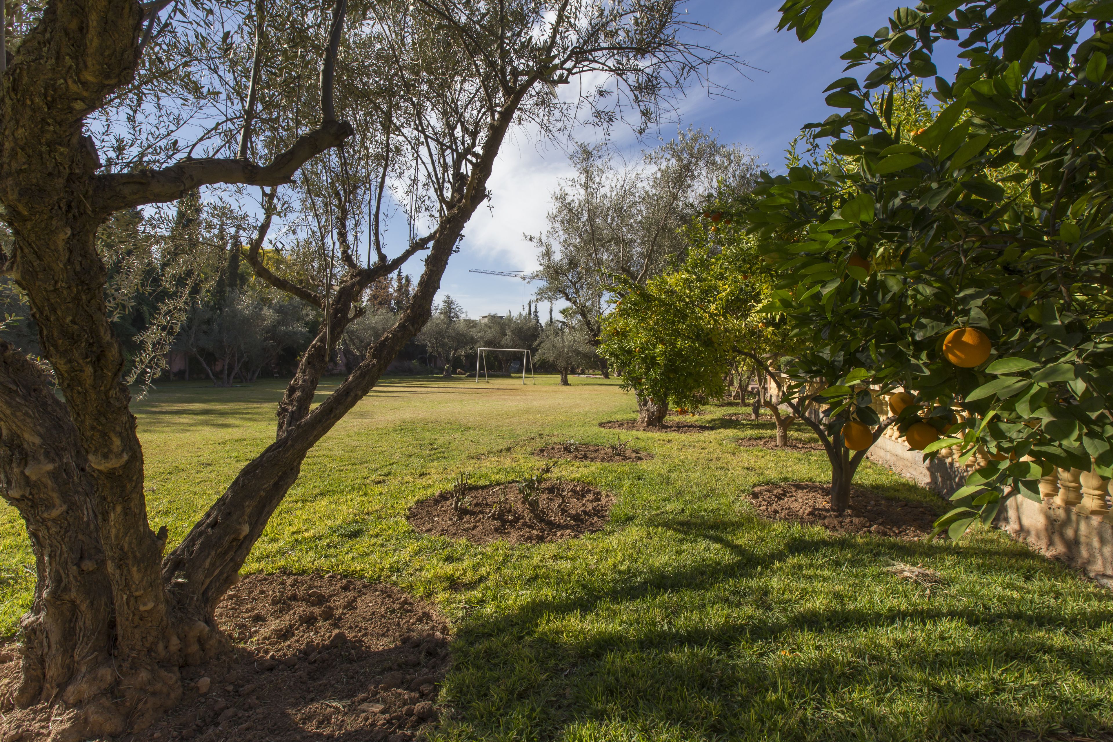 Photo - Villa Zahra