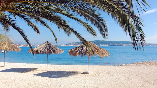 Uma praia com guarda-sóis de palha e palmeiras.