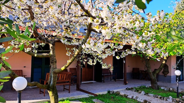 A courtyard with flowering trees, a bench, and a lamp post. - Don Federico Country Inn (Moscufo)