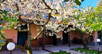 Don Federico Country Inn