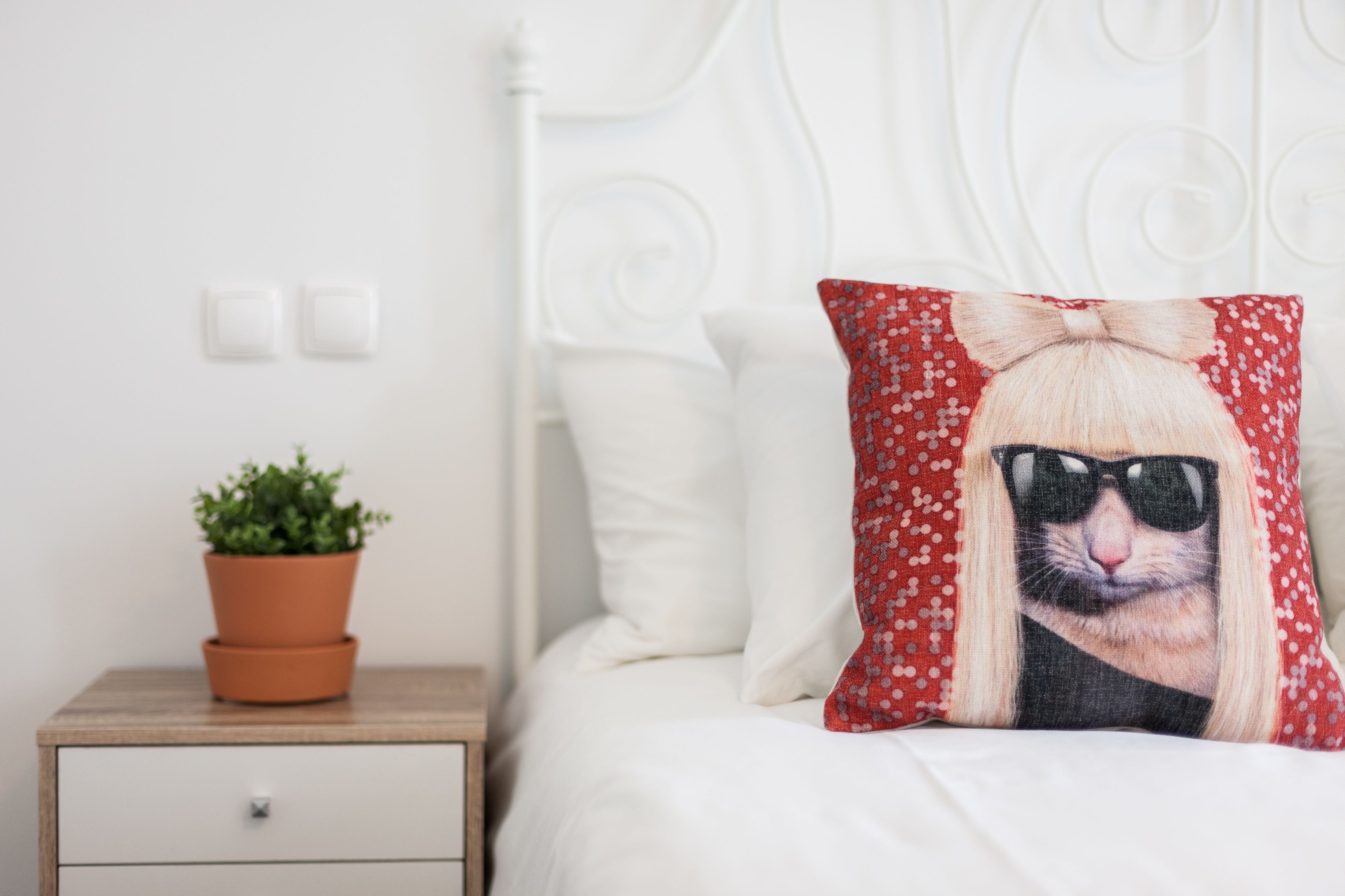 Foto - Casa da Barroca