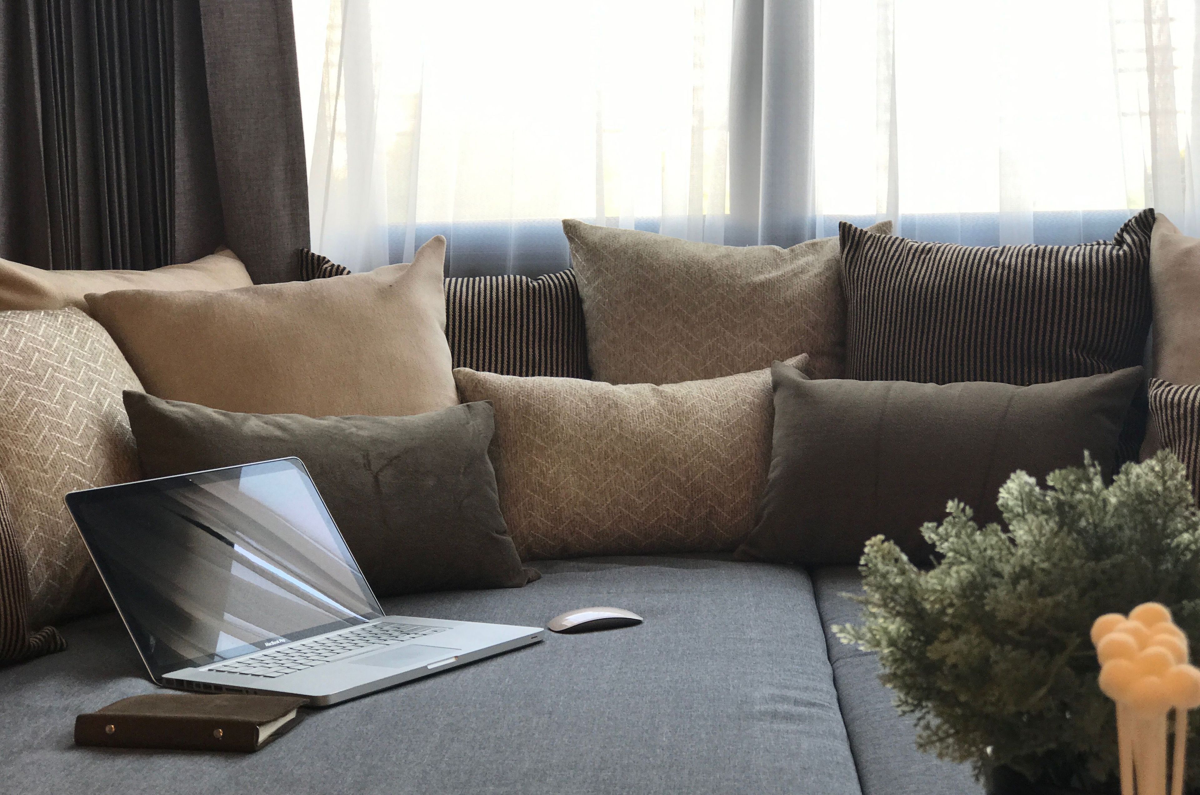 A modern living room with a grey sofa, multiple cushions, a laptop, a mouse, and a small plant.