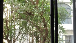 A room with a view of a tree through a window, a sofa with grey cushions, and a watermark indicating 'SPAN ESTATE'. - Stay in Style The Heart of Nimman R208 (Chiang Mai)