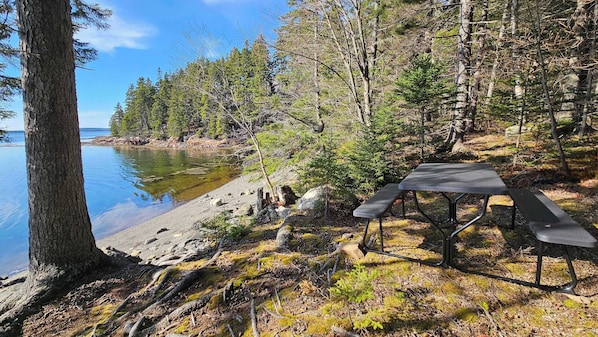 BBQ/picnic Area