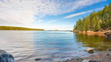 Surrounded by dense coniferous trees, this serene lakeside setting offers a tranquil atmosphere.