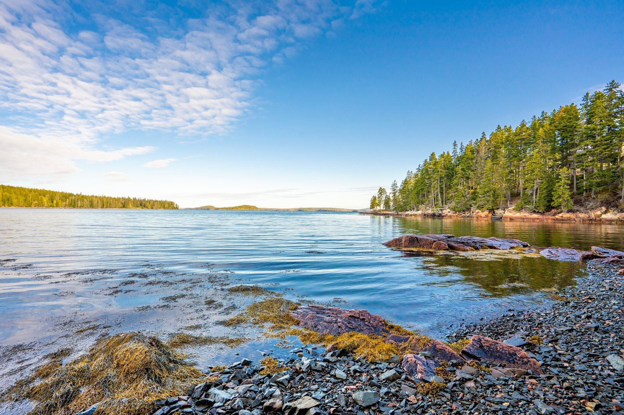 A calm lake with rocky shores and a forested shoreline.