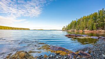 A calm lake with rocky shores and a forested shoreline.