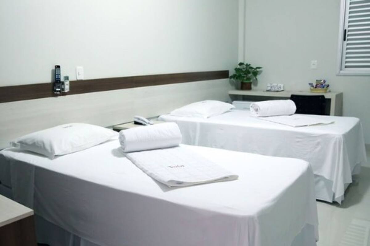 A hotel room with two beds, a bedside table, a small plant, and a window with blinds.