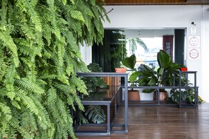 Um interior moderno com piso de madeira, mesas de estrutura metálica e diversos vasos com plantas.