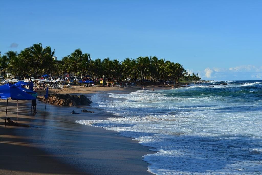 ビーチ / オーシャン ビュー
