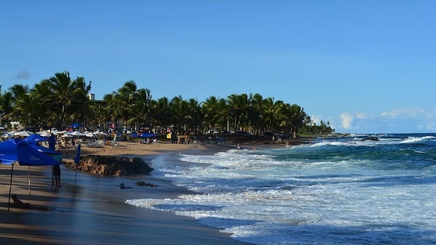 Uma praia com palmeiras, guarda-sóis e pessoas.
