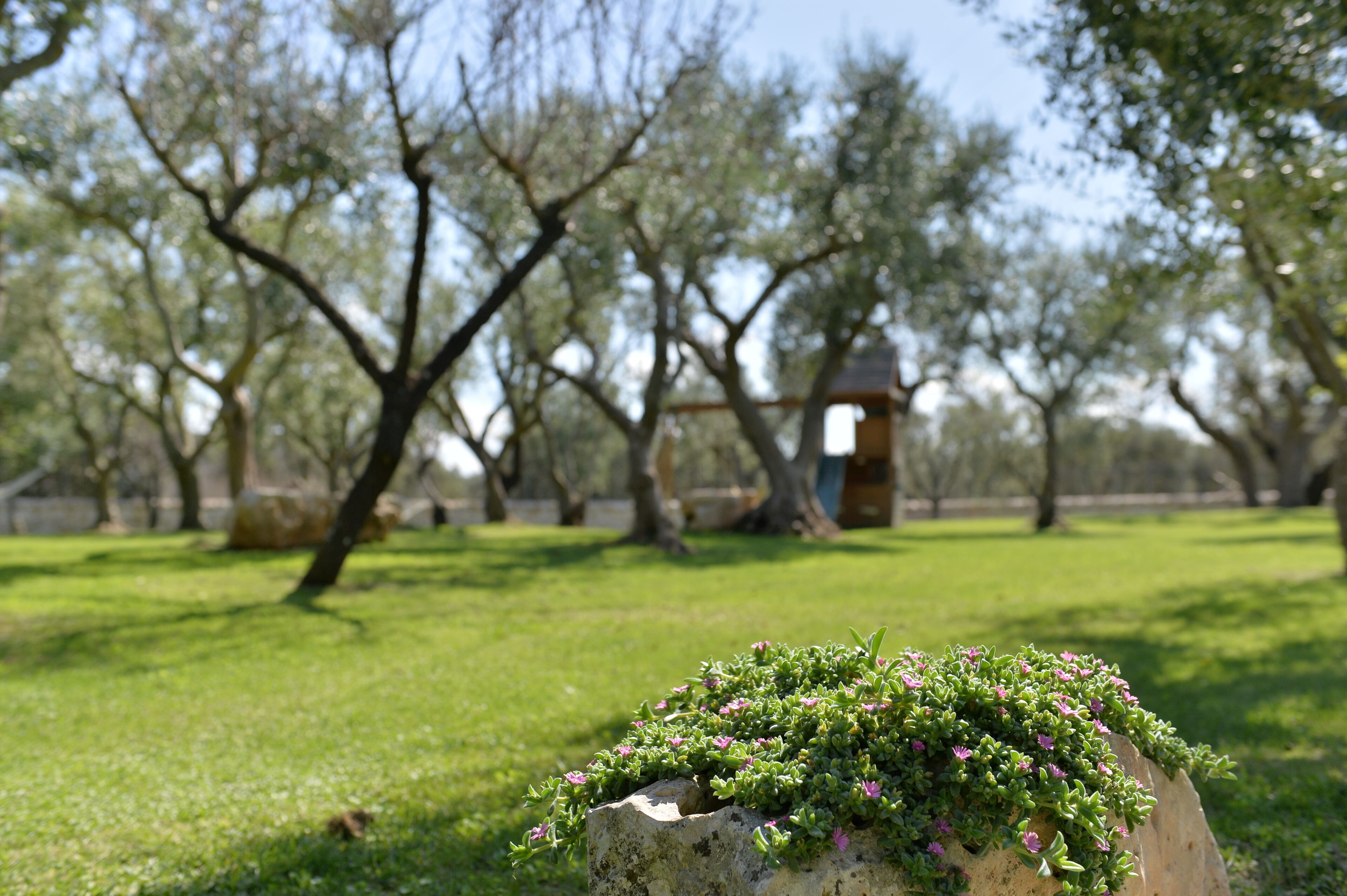 Foto - I Trulli Del Nonno Michele