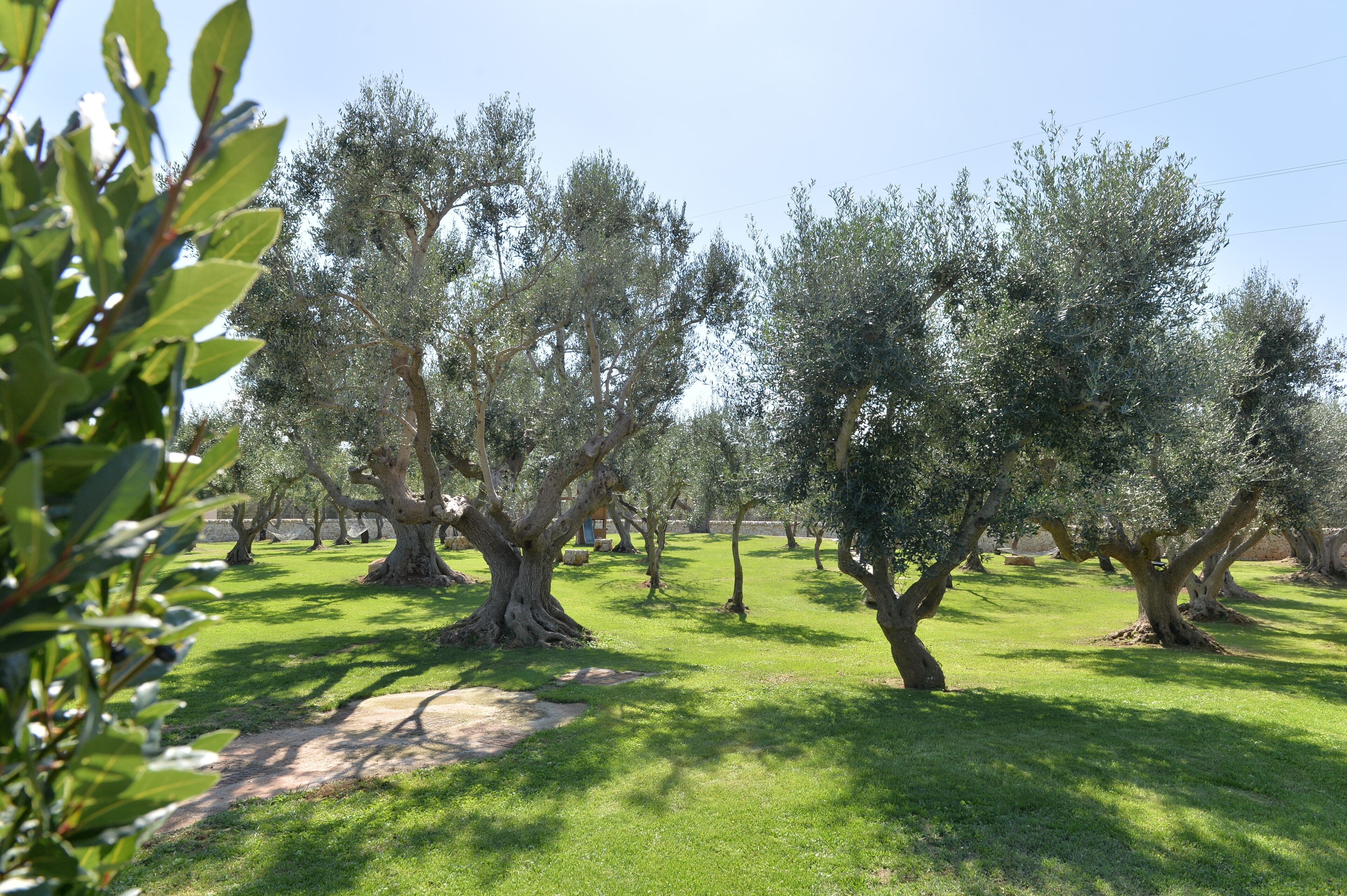 Foto - I Trulli Del Nonno Michele