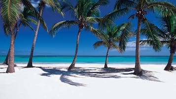 Beach nearby, white sand, fishing