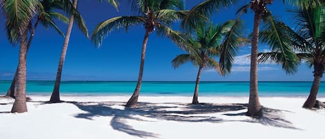 Playa en los alrededores, playa de arena blanca y pesca 