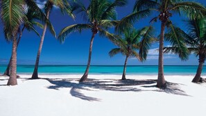 Plage à proximité, sable blanc, pêche sur place