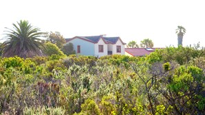Ein Haus mit rotem Dach und weißen Wänden, umgeben von dichter Vegetation und einer Palme.