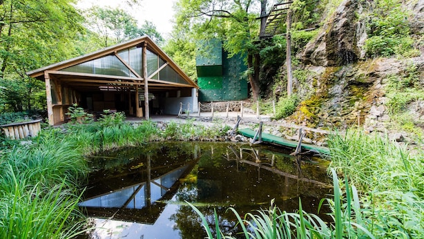 A wooden cabin with a glass roof, surrounded by lush greenery and a pond. - Oko-Park Panzió Kemping és Rendezvényközpont (Szarvasko)