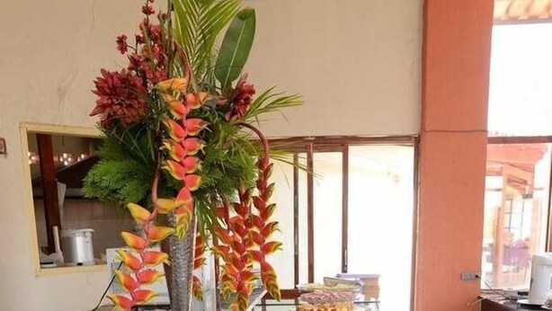 A buffet setup with various food items and a decorative plant arrangement. - Pousada LN (Caldas Novas)